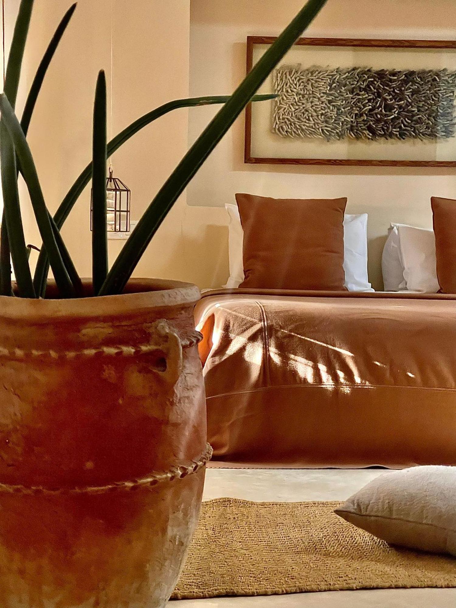 Bed and Breakfast Manzil La Tortue Douar Caïd Layadi Exterior foto