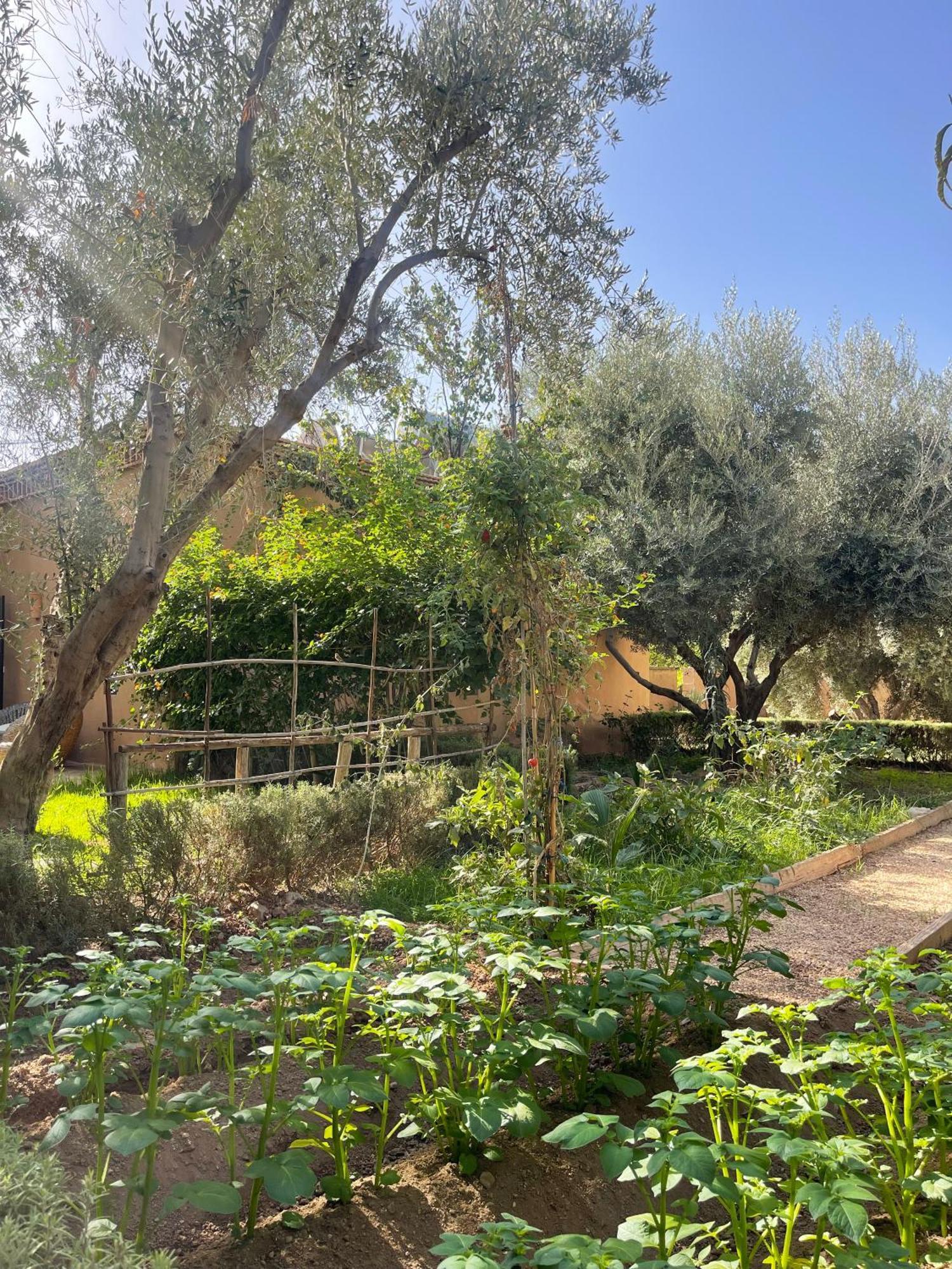Bed and Breakfast Manzil La Tortue Douar Caïd Layadi Exterior foto