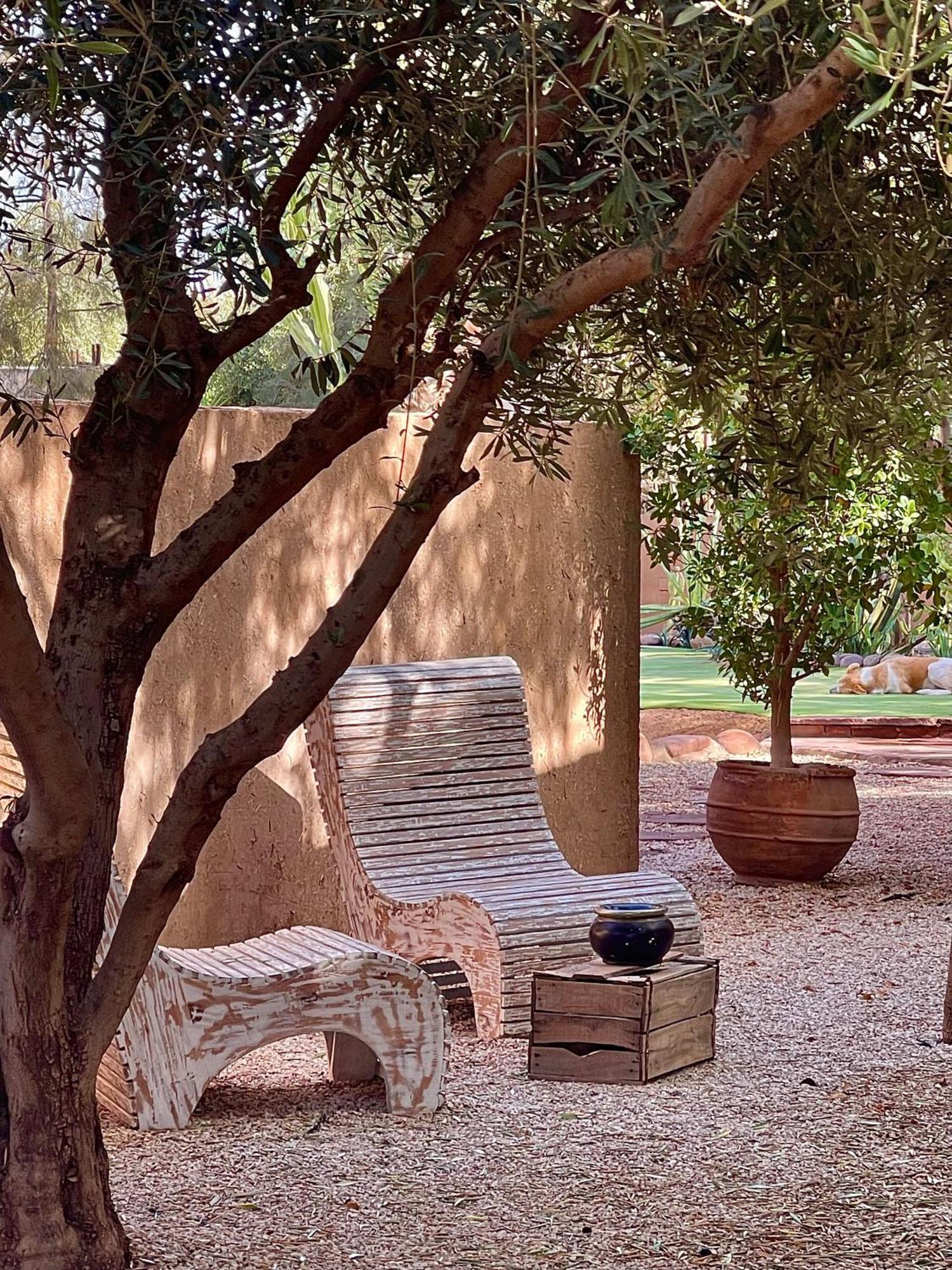 Bed and Breakfast Manzil La Tortue Douar Caïd Layadi Exterior foto