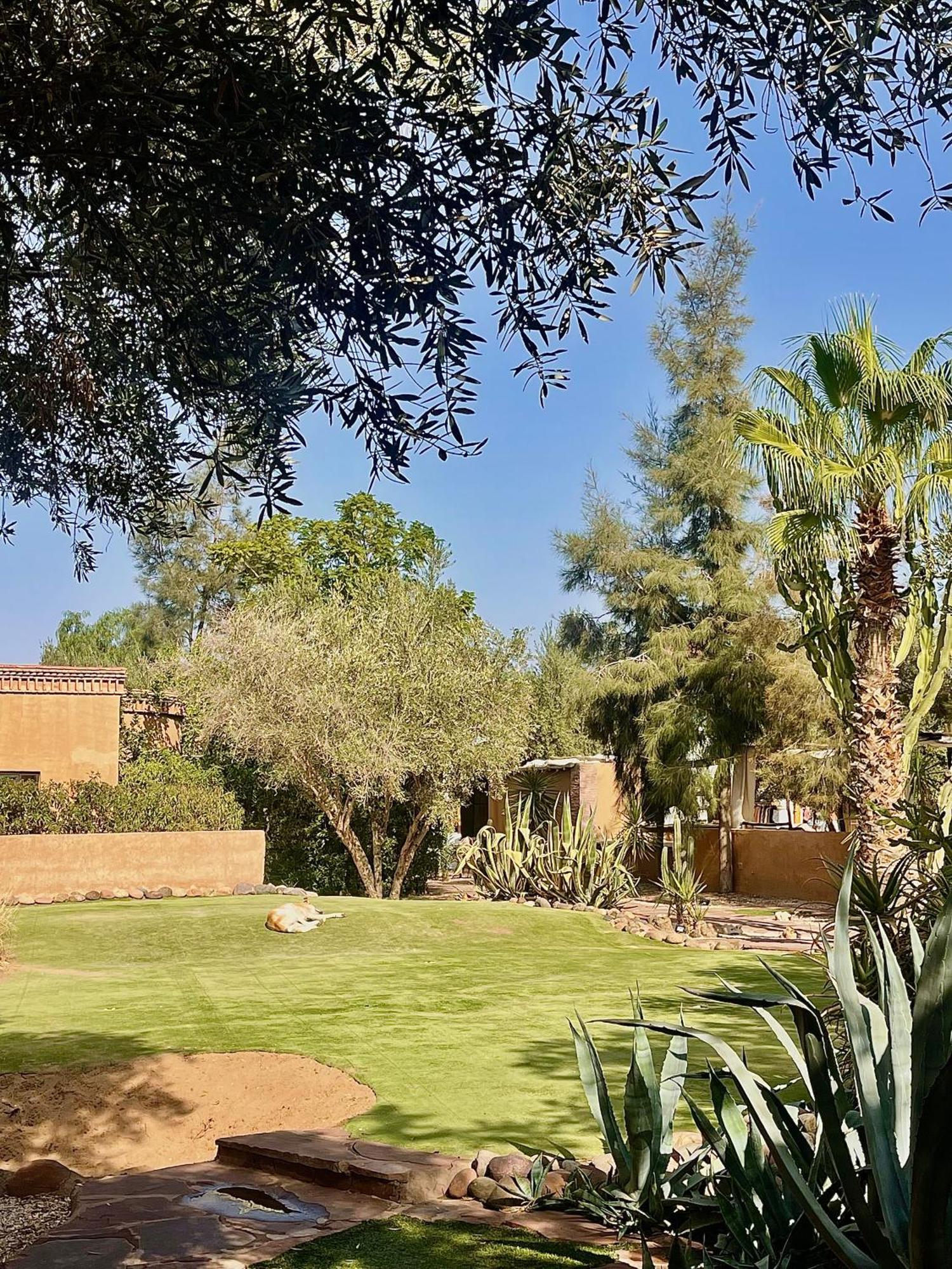 Bed and Breakfast Manzil La Tortue Douar Caïd Layadi Exterior foto