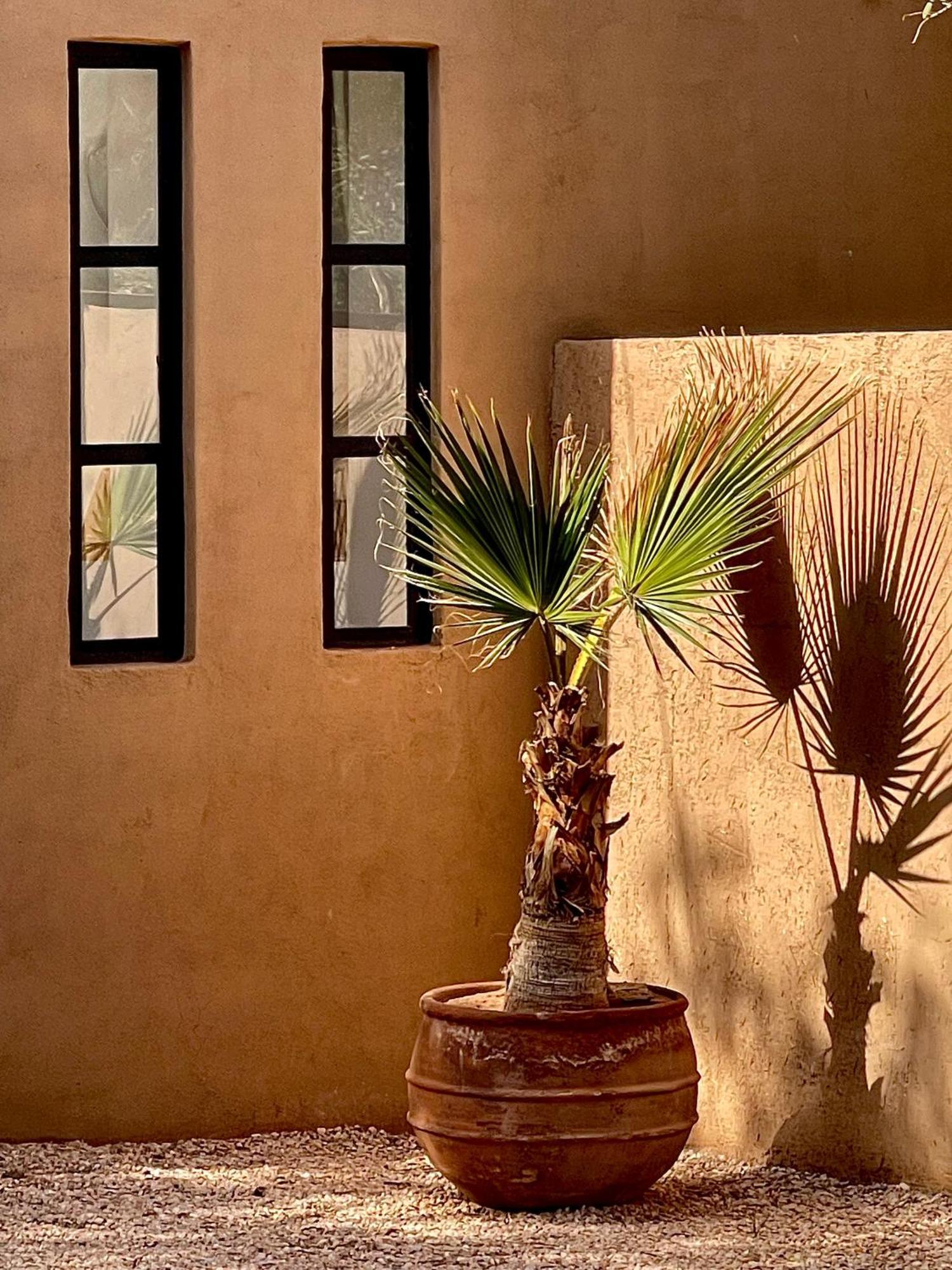 Bed and Breakfast Manzil La Tortue Douar Caïd Layadi Exterior foto